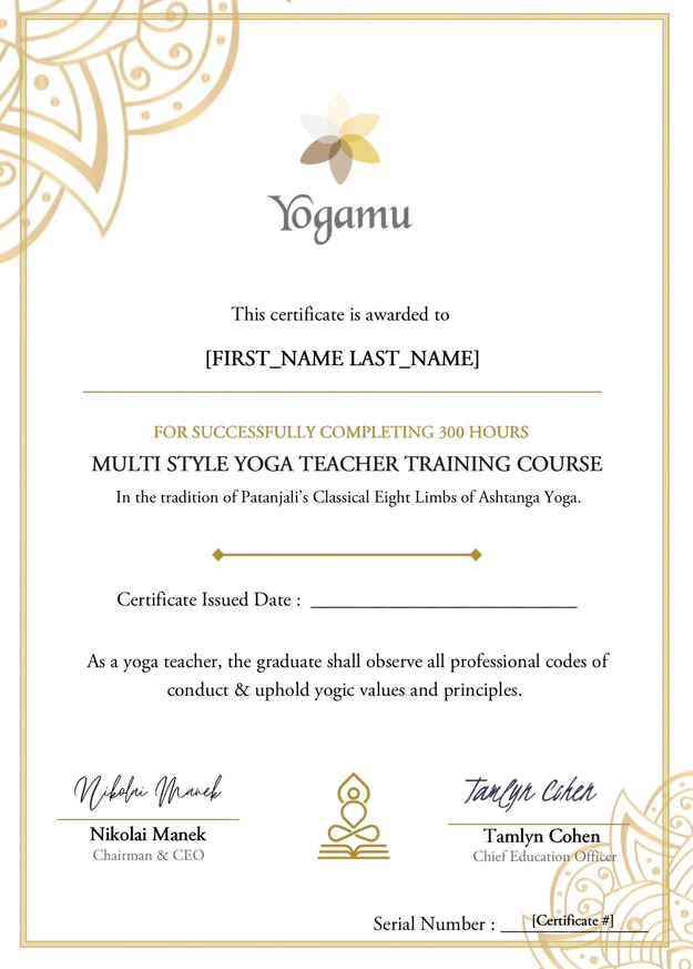 300 HR Yoga Teacher Training - Image 4