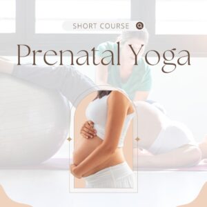 Prenatal Yoga 20 HR Course (YACEP)
