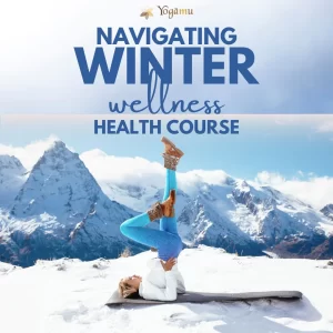 Navigating Winter Wellness: A Holistic Approach to Health and Immunity